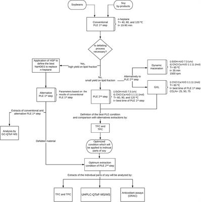 Pressurized natural deep eutectic solvents: An alternative approach to agro-soy by-products